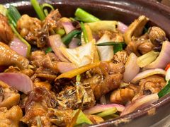 -胡须佬鸡煲四季火锅(龙珠大道店)