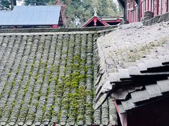 -青城山