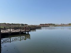 -上海海湾国家森林公园