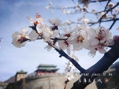-居庸关长城
