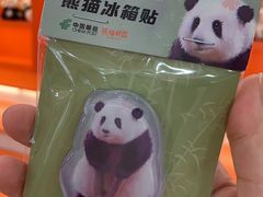 -熊猫邮局(少城店)