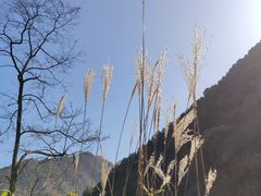-石砭峪水库