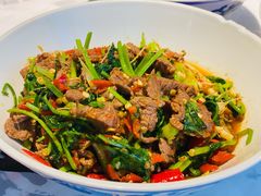 香菜炒牛肉-壹盏灯(蚂蚁工房店)
