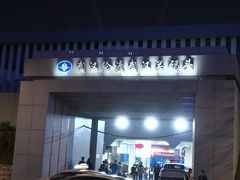 -武汉关码头(轮渡站)