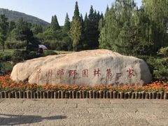-习家池