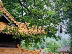 -中国观音故里广德景区