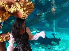 -华夏文旅西安度假区