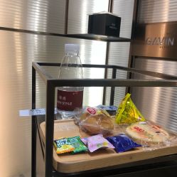 -崇尚GAVIN STYLE臻选