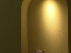 -正南齐北·老街糯米团(洪崖洞店)