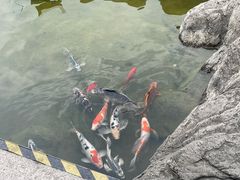 -江宁织造博物馆