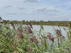 -盐城丹顶鹤湿地生态旅游区
