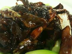 红烧蹄筋-鸭王烤鸭店(三里河店)
