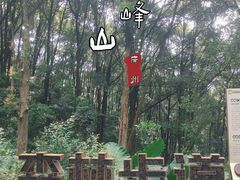 -广州市帽峰山景区