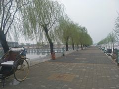 4月5号的花儿-月河湾马术俱乐部(朝阳店)