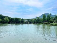 -牛首山文化旅游区