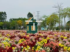 -广东花都香草世界旅游度假区