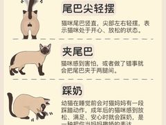 -翊宠yipet猫狗购宠庄园犬舍•猫舍