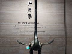 -湖北省博物馆