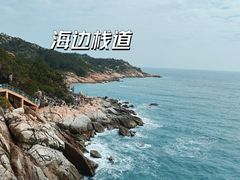 -广东惠东海龟国家级自然保护区