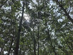 -森林公园(尖草坪区)