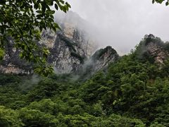 -鹿院坪生态旅游景区