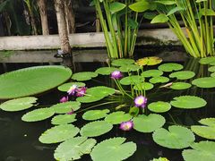 -国家植物园南园