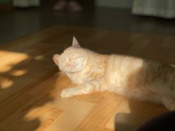 -齐伽生活馆·瑜伽·普拉提·阿育吠陀