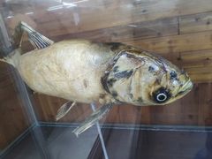 -南京金牛湖风景区