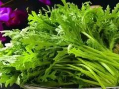 茼蒿-田园石锅鱼