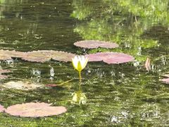 -云溪植物园