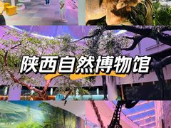-陕西自然博物馆