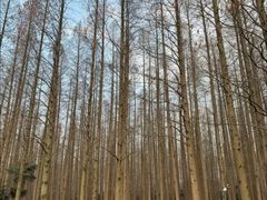 -上海怡沁园度假酒店