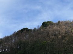 -阳台山森林公园