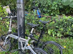 -点都德(广州白云山景区南门店)