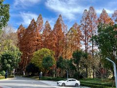 -黄山太平湖风景区