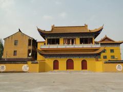 -南汇水蜜桃采摘(大团店)