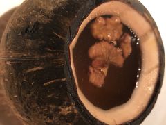 -闻见中国海南菜(K11店)