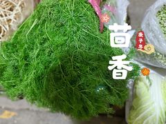 -鑫朱雀农贸批发市场-地下停车场