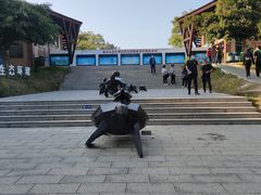 -广东惠东海龟国家级自然保护区