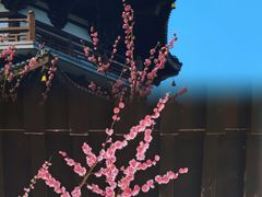 -洋湖国家湿地公园