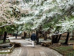 -颐和园