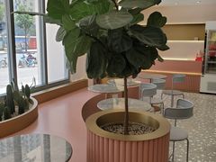 -蜜思琪蛋糕(民生路店)