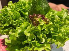 -炭之家齐齐哈尔大片烤肉·涮毛肚火锅·齐齐哈尔烤肉(中央大街店)