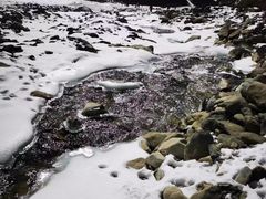 -祁连山·岗什卡雪峰景区