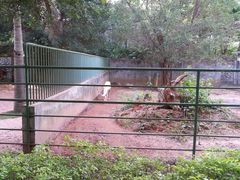 -广东茂名森林公园