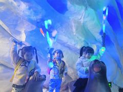 -芜湖新华联大白鲸海洋公园