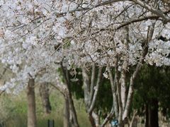 -国家植物园