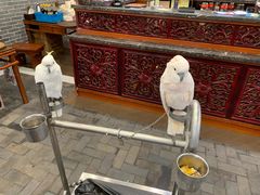 -四海楼(如皋定慧禅寺店)
