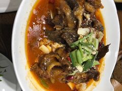 -同庆楼(滨湖万达广场店)