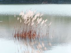 -浙西天池景区